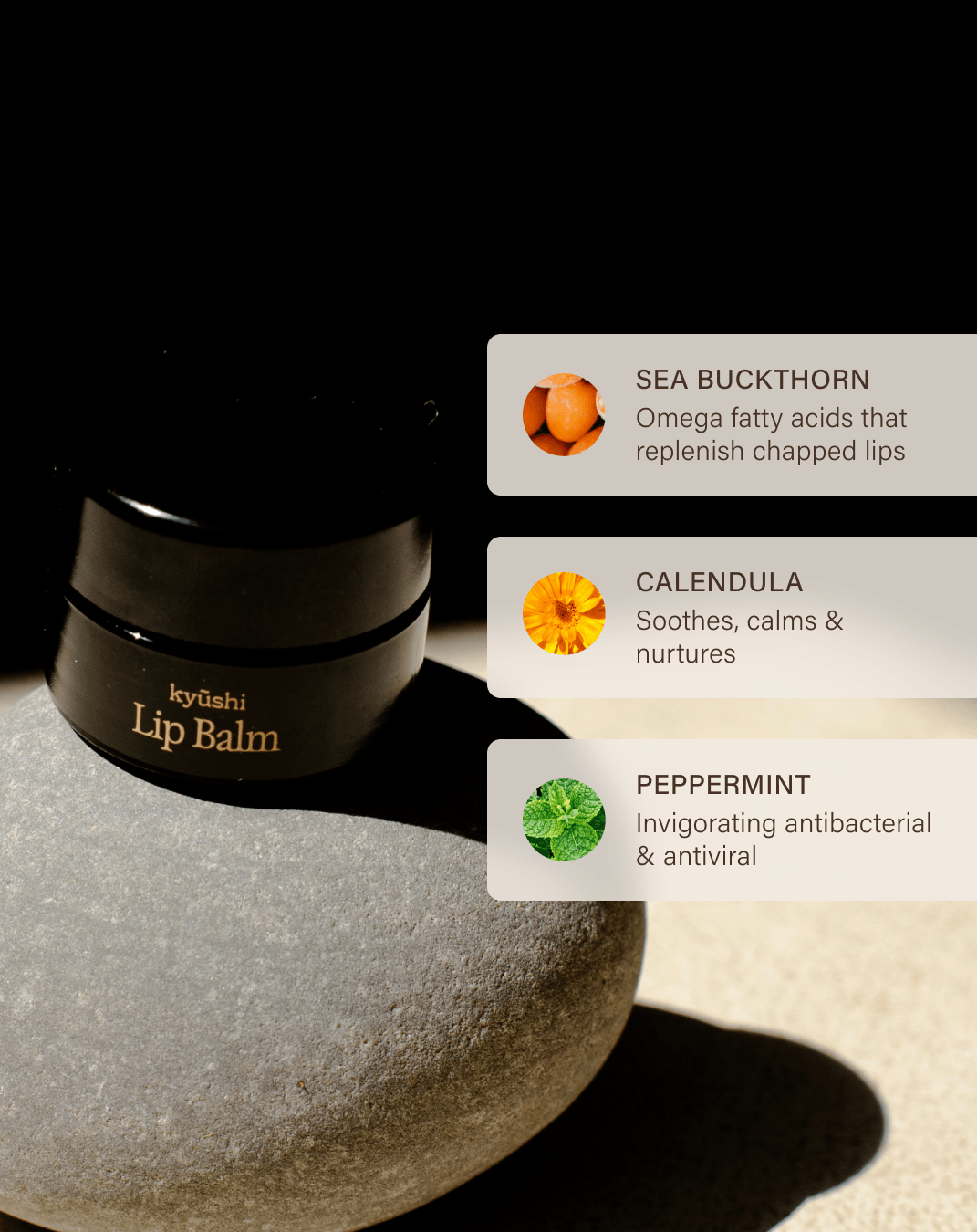 Replenish & Renew Lip Balm